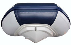 logo_bluerib